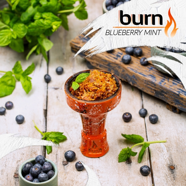 Купить Burn - Blueberry Mint (Черника и Мята, 200 грамм)