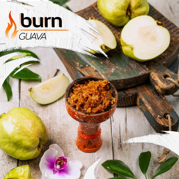 Купить Burn - Guava (Гуава, 100 грамм)