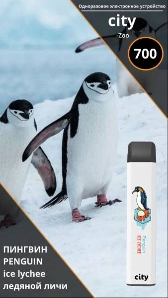 Купить City Zoo - Пингвин (Ледяной Личи), 700 затяжек, 18 мг (1,8%)