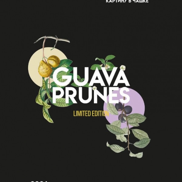 Купить Palitra - Guava Prunes (Гуава Чернослив) - 40г