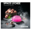 Купить Dark Side Base 250 гр-Space Lychee (Личи)